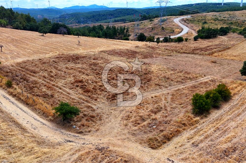 ÇANAKKALE MERKEZ DENİZGÖRÜNDÜ KÖYÜ 8.732 m² SATILIK TARLA