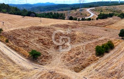 ÇANAKKALE MERKEZ DENİZGÖRÜNDÜ KÖYÜ 8.732 m² SATILIK TARLA
