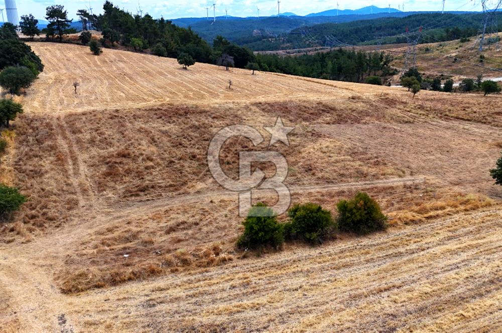 ÇANAKKALE MERKEZ DENİZGÖRÜNDÜ KÖYÜ 8.732 m² SATILIK TARLA
