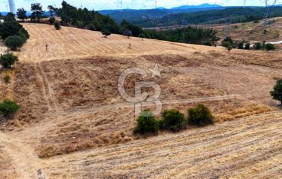 ÇANAKKALE MERKEZ DENİZGÖRÜNDÜ KÖYÜ 8.732 m² SATILIK TARLA