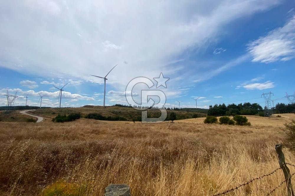 ÇANAKKALE MERKEZ DENİZGÖRÜNDÜ KÖYÜ 8.732 m² SATILIK TARLA