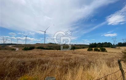 ÇANAKKALE MERKEZ DENİZGÖRÜNDÜ KÖYÜ 8.732 m² SATILIK TARLA