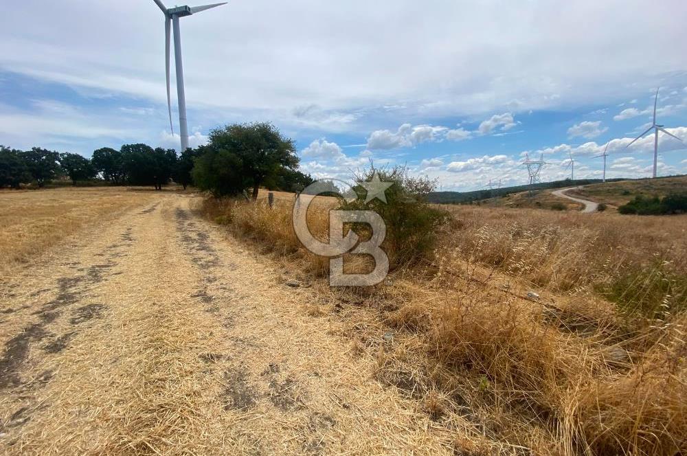 ÇANAKKALE MERKEZ DENİZGÖRÜNDÜ KÖYÜ 8.732 m² SATILIK TARLA
