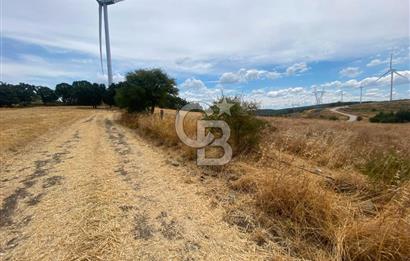 ÇANAKKALE MERKEZ DENİZGÖRÜNDÜ KÖYÜ 8.732 m² SATILIK TARLA