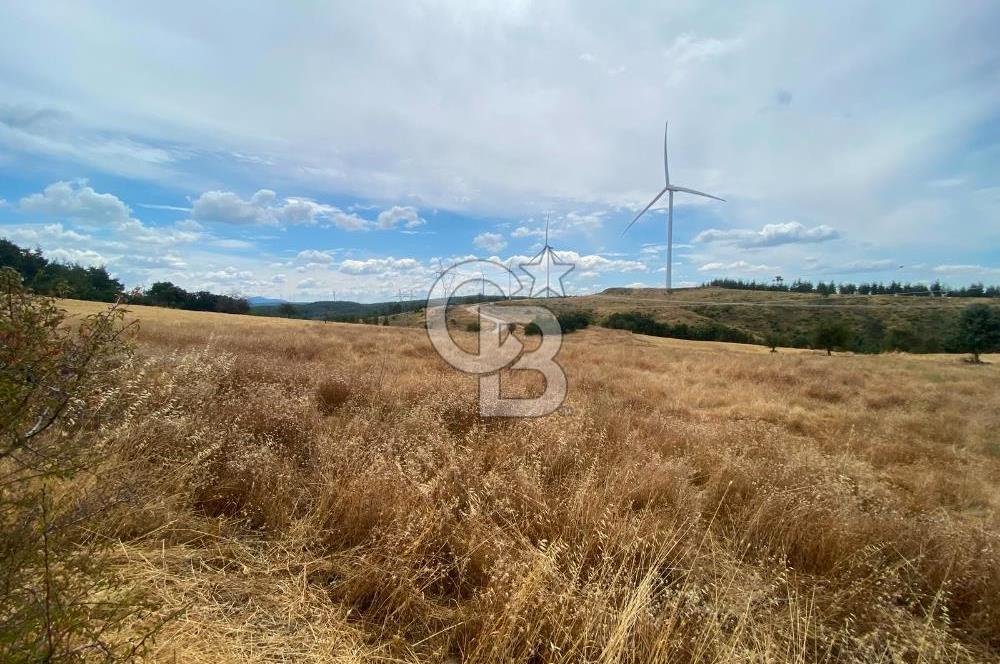 ÇANAKKALE MERKEZ DENİZGÖRÜNDÜ KÖYÜ 8.732 m² SATILIK TARLA