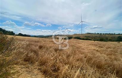 ÇANAKKALE MERKEZ DENİZGÖRÜNDÜ KÖYÜ 8.732 m² SATILIK TARLA