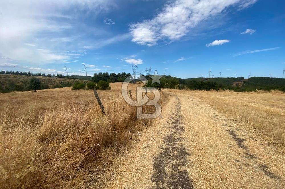 ÇANAKKALE MERKEZ DENİZGÖRÜNDÜ KÖYÜ 8.732 m² SATILIK TARLA