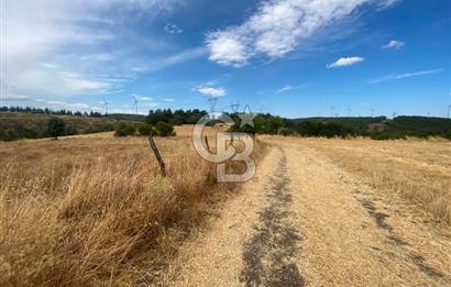 ÇANAKKALE MERKEZ DENİZGÖRÜNDÜ KÖYÜ 8.732 m² SATILIK TARLA