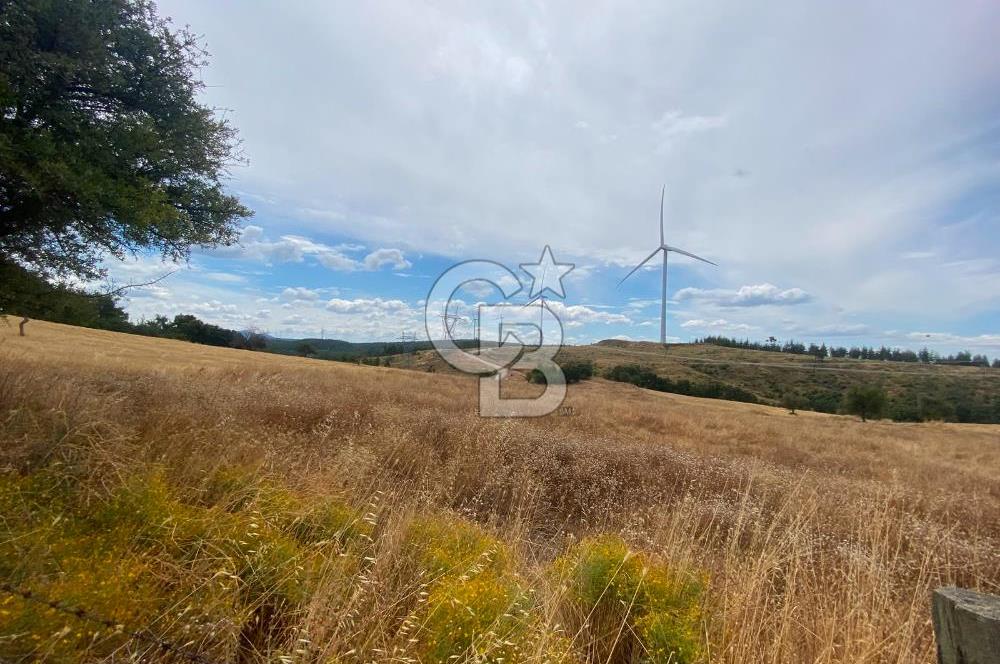 ÇANAKKALE MERKEZ DENİZGÖRÜNDÜ KÖYÜ 8.732 m² SATILIK TARLA