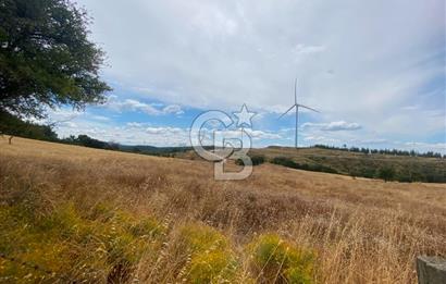 ÇANAKKALE MERKEZ DENİZGÖRÜNDÜ KÖYÜ 8.732 m² SATILIK TARLA