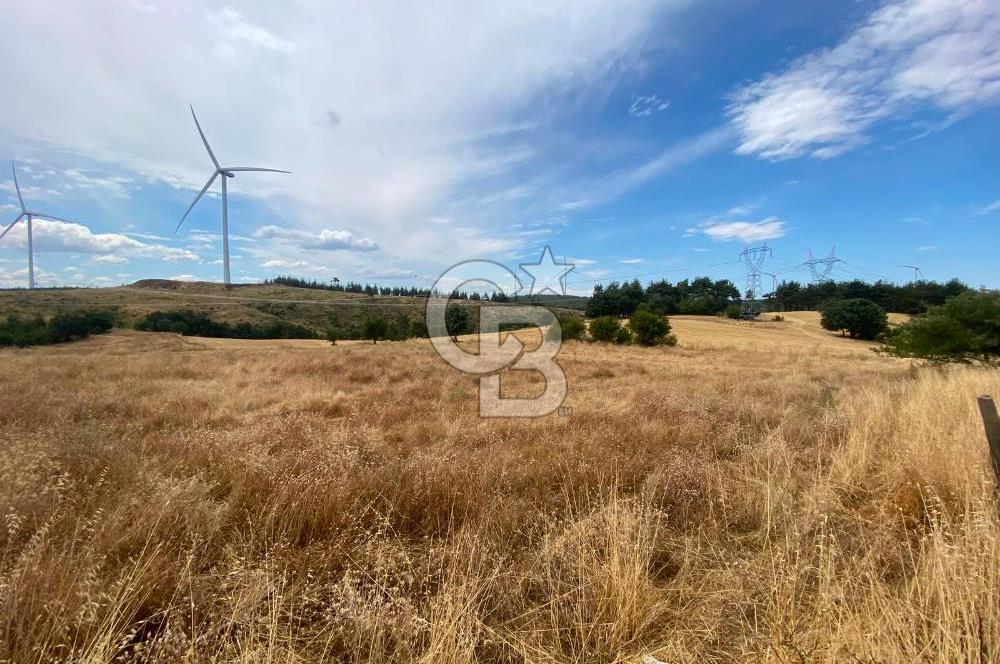 ÇANAKKALE MERKEZ DENİZGÖRÜNDÜ KÖYÜ 8.732 m² SATILIK TARLA