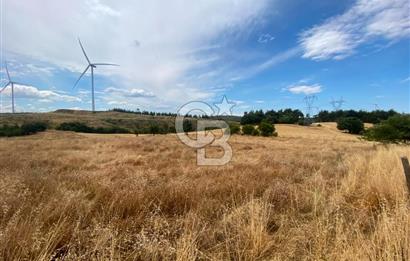 ÇANAKKALE MERKEZ DENİZGÖRÜNDÜ KÖYÜ 8.732 m² SATILIK TARLA