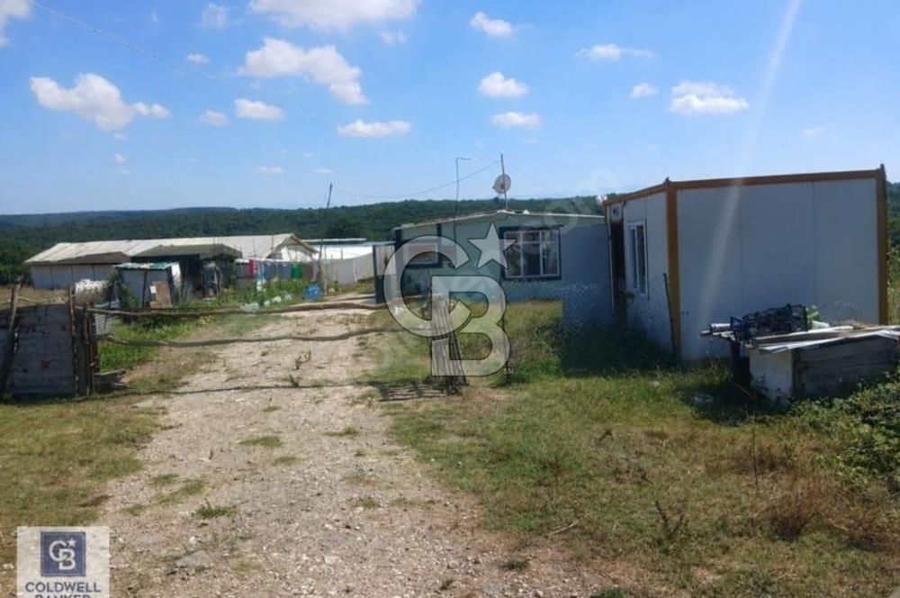 cb fly dan kandıra da satılık çiftlik