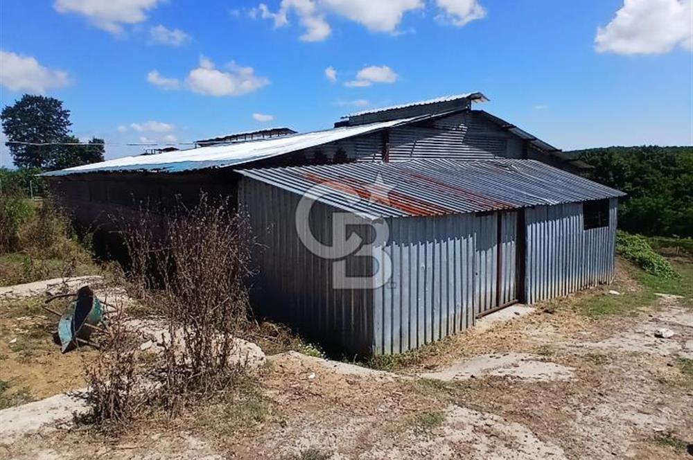 cb fly dan kandıra da satılık çiftlik