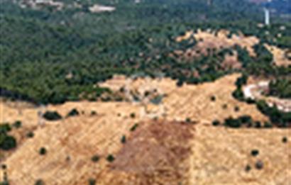 ÇANAKKALE MERKEZ DENİZGÖRÜNDÜ KÖYÜ 8.732 m² SATILIK TARLA