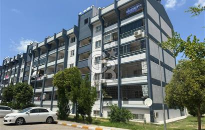 Yeşiloba Toki Çamlık Sitesi 3+1 Kapalı Mutfak Kiralık Daire