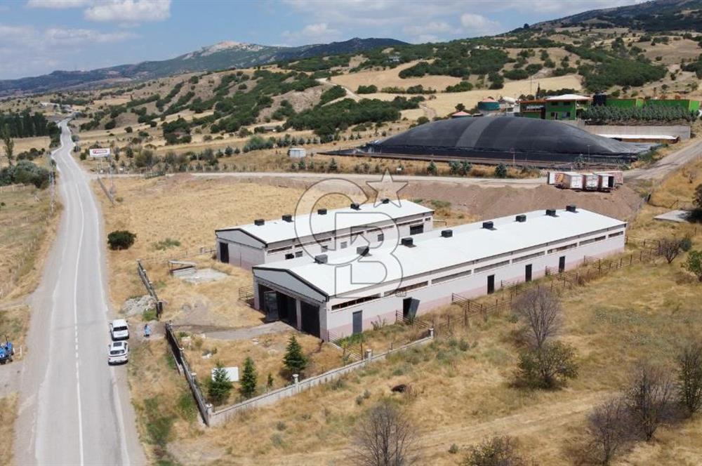 SATILIK ÇUBUK'DA YÜKSEK KAPASİTELİ BESİ ÇİFTLİĞİ YATIRIM FIRSATI