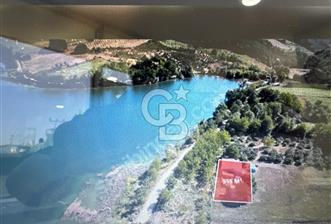 CB ATLASTAN KANDIRA GONCAAYDINDA 555m2 SATILIK TARLA - 1 - 362766
