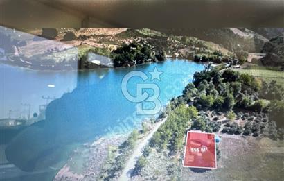 CB ATLASTAN KANDIRA GONCAAYDINDA 555m2 SATILIK TARLA