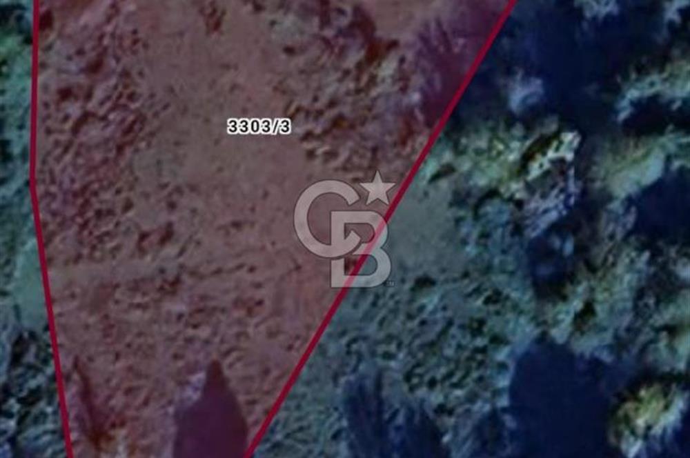Şile Çataklı Mahallesi'nde 4084 M2 Yola Cephe Yatırımlık Arsa