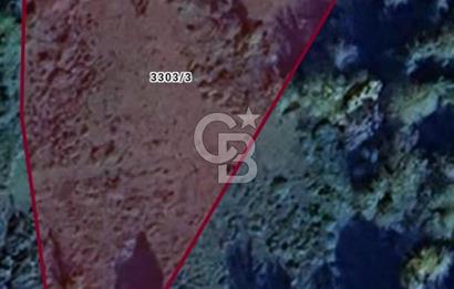 Şile Çataklı Mahallesi'nde 4084 M2 Yola Cephe Yatırımlık Arsa