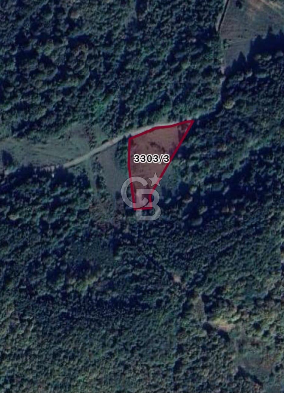 Şile Çataklı Mahallesi'nde 4084 M2 Yola Cephe Yatırımlık Arsa