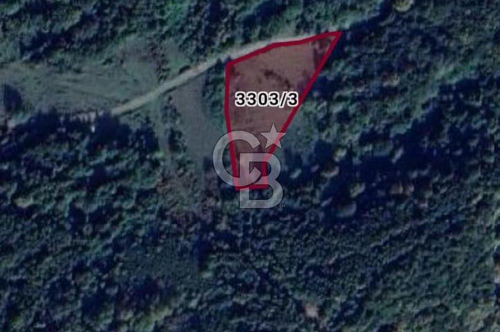 Şile Çataklı Mahallesi'nde 4084 M2 Yola Cephe Yatırımlık Arsa