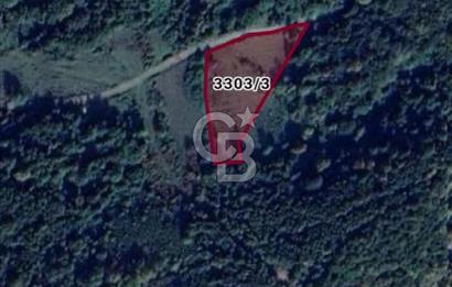 Şile Çataklı Mahallesi'nde 4084 M2 Yola Cephe Yatırımlık Arsa