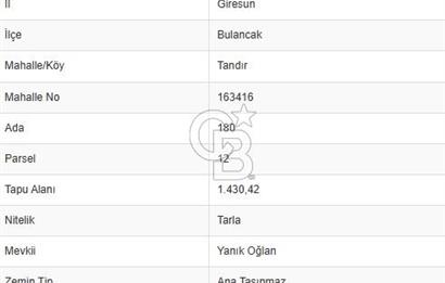 Giresun Bulancak Tandırköyü 1430 m² Satılık Tarla