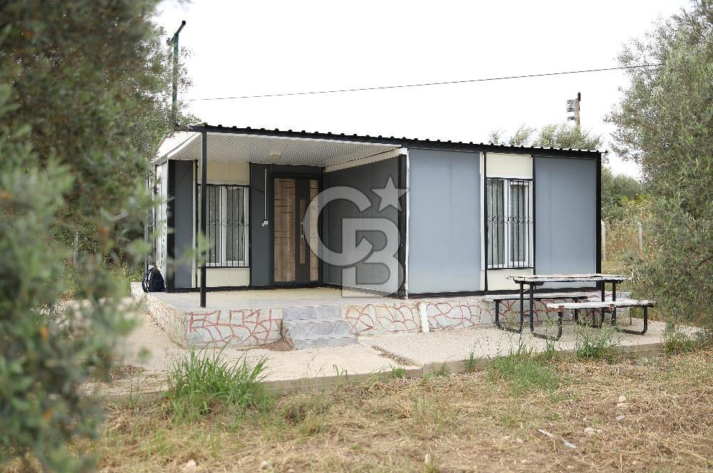 Saruhanlı Sarıçam'da 4200 M² Satılık Zeytinlik