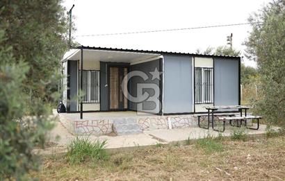 Saruhanlı Sarıçam'da 4200 M² Satılık Zeytinlik