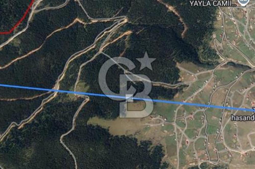 Giresun Bulancak Tandırköyü 1430 m² Satılık Tarla
