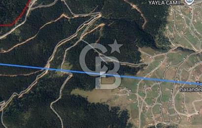 Giresun Bulancak Tandırköyü 1430 m² Satılık Tarla