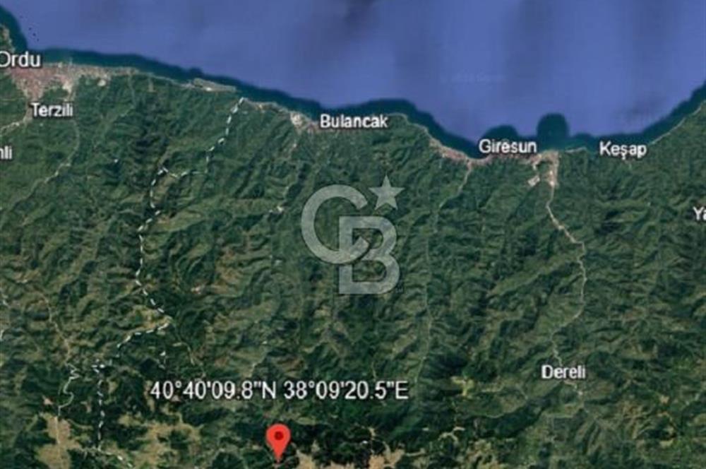 Giresun Bulancak Tandırköyü 1430 m² Satılık Tarla