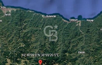 Giresun Bulancak Tandırköyü 1430 m² Satılık Tarla