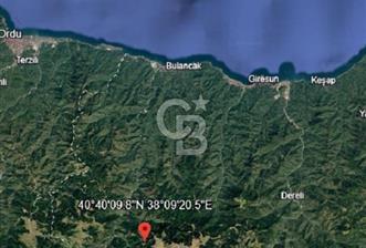 Giresun Bulancak Tandırköyü 1430 m² Satılık Tarla - 1 - 362840
