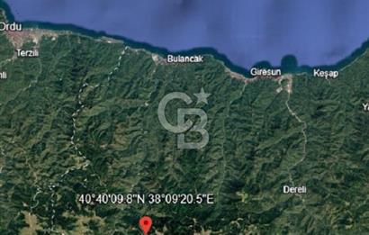 Giresun Bulancak Tandırköyü 1430 m² Satılık Tarla