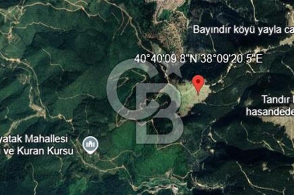 Giresun Bulancak Tandırköyü 1430 m² Satılık Tarla