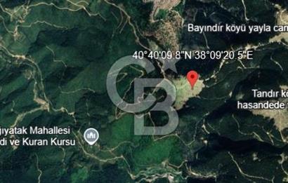 Giresun Bulancak Tandırköyü 1430 m² Satılık Tarla