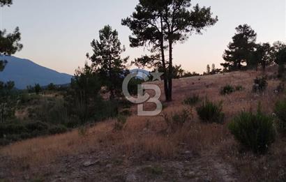 KAŞ YAYLAPALAMUT TA SATILIK TARLA
