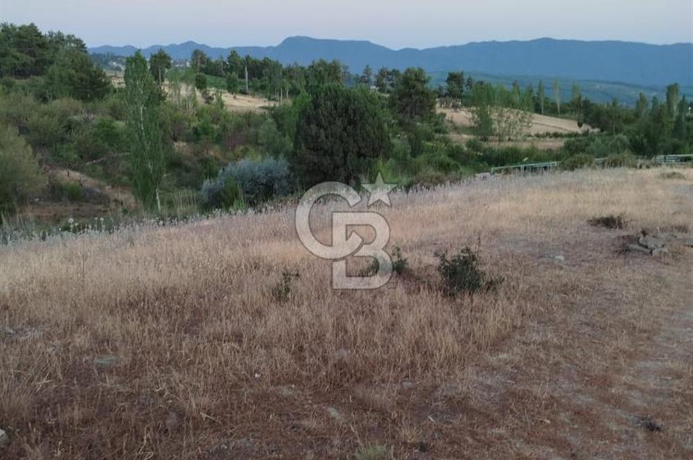 KAŞ YAYLAPALAMUT TA SATILIK TARLA