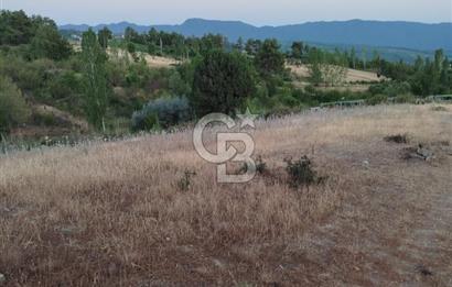 KAŞ YAYLAPALAMUT TA SATILIK TARLA