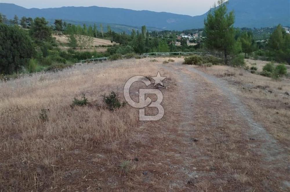 KAŞ YAYLAPALAMUT TA SATILIK TARLA