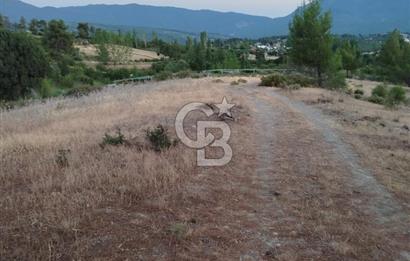 KAŞ YAYLAPALAMUT TA SATILIK TARLA