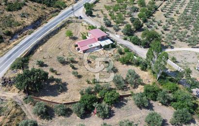 AYVACIK'DA DEVREN KİRALIK EZİNE PEYNİRİ ÜRETİM TESİSİ (MANDIRA)