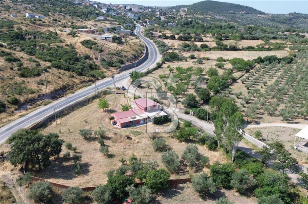 AYVACIK'DA DEVREN KİRALIK EZİNE PEYNİRİ ÜRETİM TESİSİ (MANDIRA)