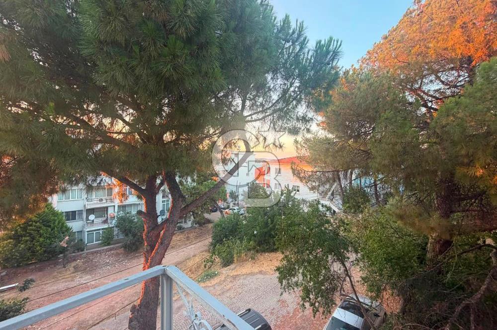 AYVALIK ÇAMLIKTA YATIRIMLIK KOMPLE BİNA & PROJELİK ARSA
