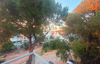 AYVALIK ÇAMLIKTA YATIRIMLIK KOMPLE BİNA & PROJELİK ARSA