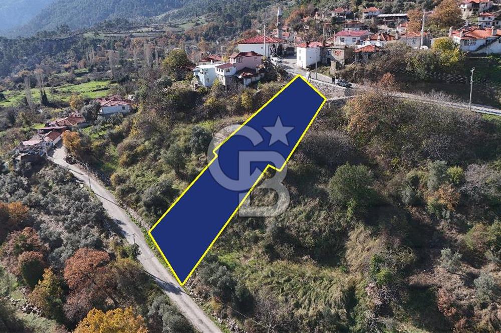 Muğla Menteşede Manzaralı 4 Odalı Köy Evi + 691 m² tarla