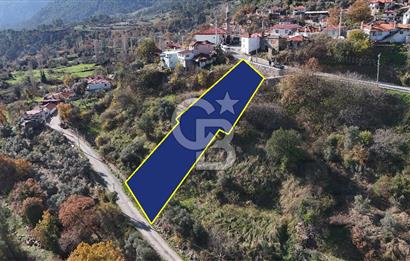 Muğla Menteşede Manzaralı 4 Odalı Köy Evi + 691 m² tarla
